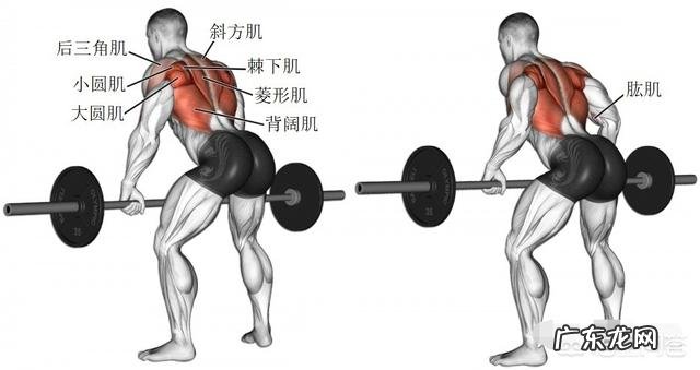 健身中的划船是怎么做的？