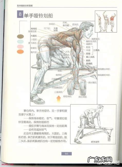 健身中的划船是怎么做的？