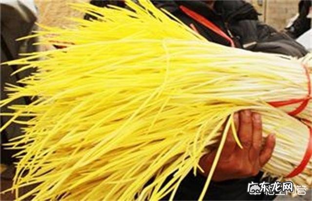 怎样利用河南农村的地下室挣钱?