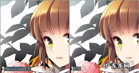 PhotoZoom中S-Spline放大算法技术说明