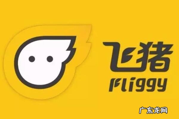 飞猪和12306哪个好抢票?哪个更好用?