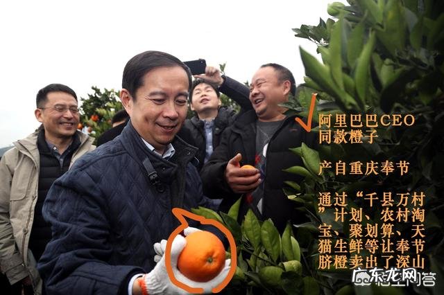 脱贫致富什么意思? 怎么能脱贫致富?