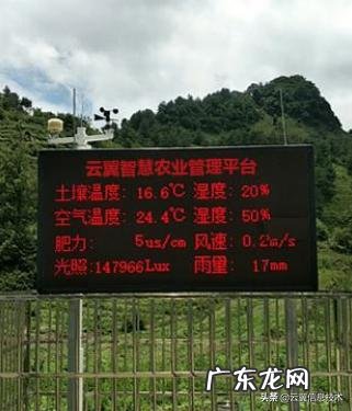 农村快速致富项目? 农村人该怎样搞产业链,发家致富呢?