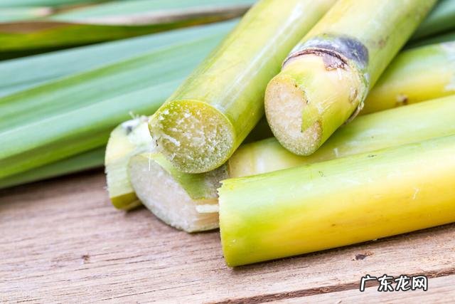 农村快速致富项目？ 农村人该怎样搞产业链，发家致富呢？