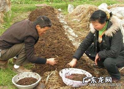 农村快速致富项目? 农村人该怎样搞产业链,发家致富呢?