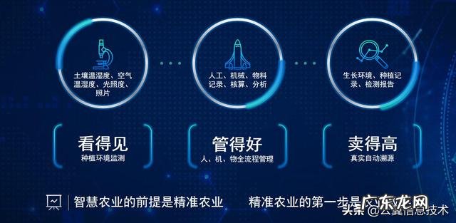 农村快速致富项目? 农村人该怎样搞产业链,发家致富呢?