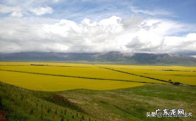 农村快速致富项目? 农村人该怎样搞产业链,发家致富呢?