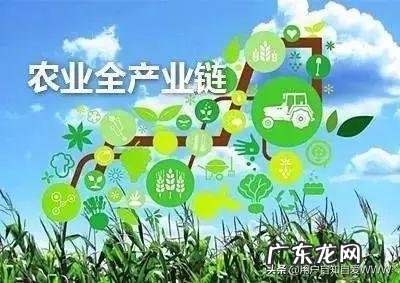 农村快速致富项目? 农村人该怎样搞产业链,发家致富呢?