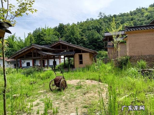 农村快速致富项目? 农村人该怎样搞产业链,发家致富呢?