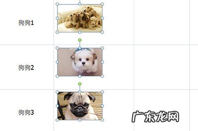 如何把文件夹里的图片批量导入excel Excel怎么批量导入图片