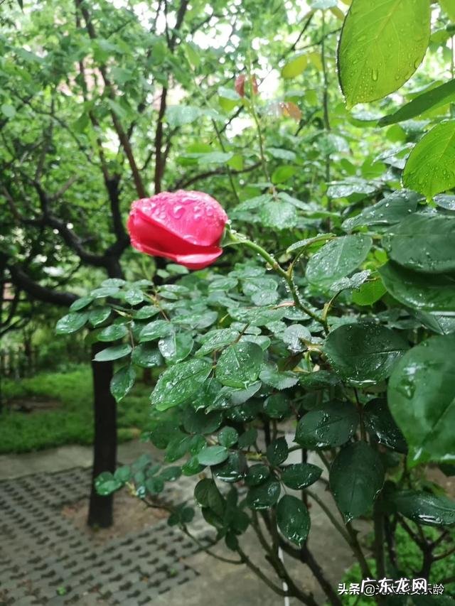 现在做点什么小生意好啊？ 现在什么小本生意好做？