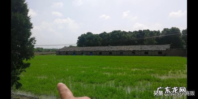 现在做什么小生意好? 第一次创业,可以做哪些小本生意?