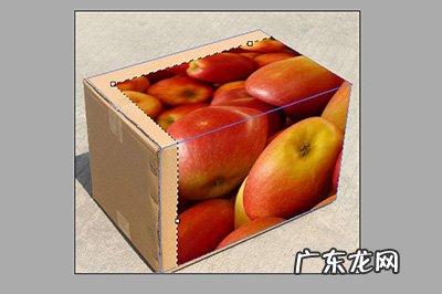 ps箱子的效果图 PS怎么给箱子贴上logo