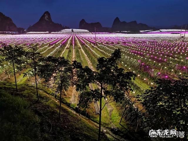 适合农村创业的小项目? 现在农村适合干什么,小本创业?