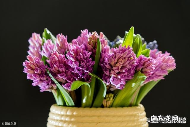 适合农村创业的小项目? 现在农村适合干什么,小本创业?