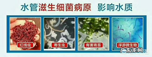 适合农村创业的小项目? 现在农村适合干什么,小本创业?