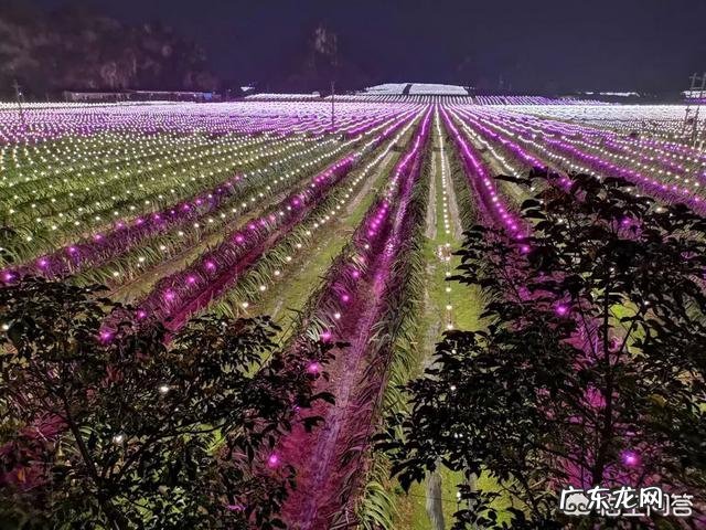 适合农村创业的小项目? 现在农村适合干什么,小本创业?