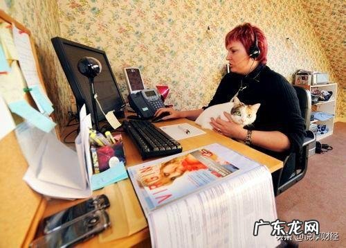 现在创业什么项目好? 在家自己低成本创业适合做什么?