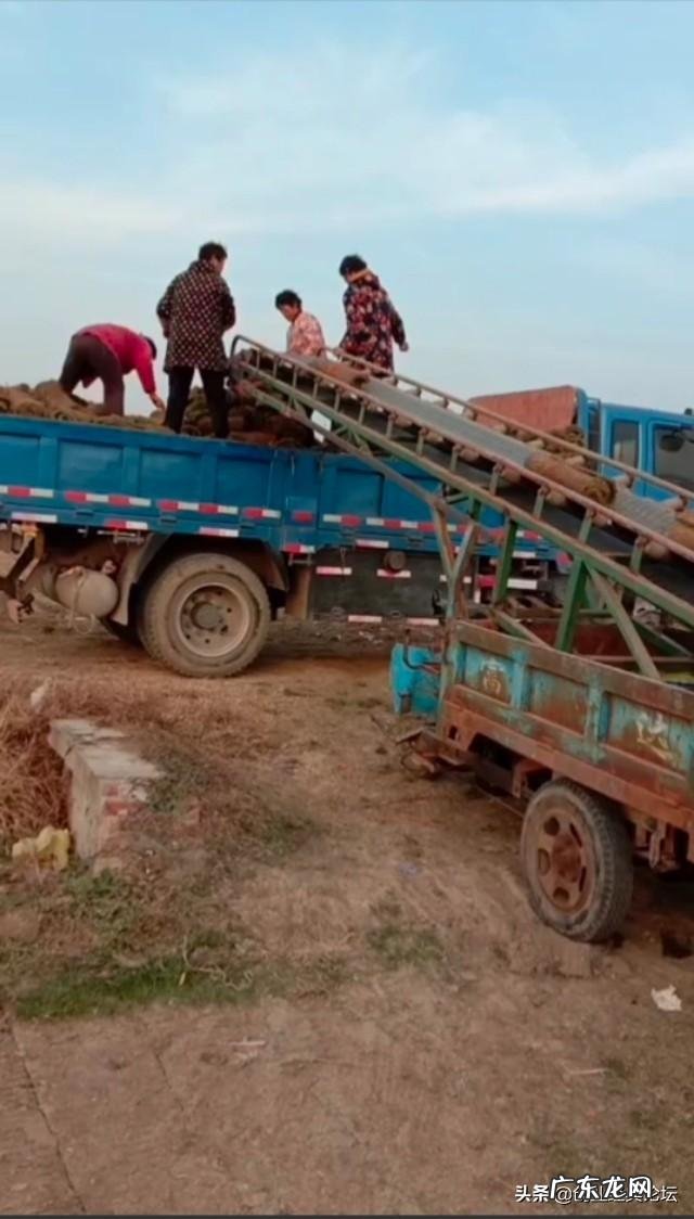 现在创业什么项目好? 在家自己低成本创业适合做什么?