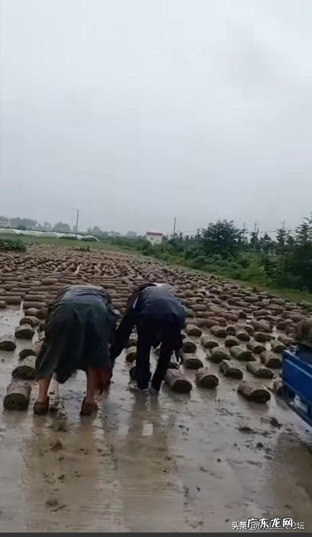 现在创业什么项目好? 在家自己低成本创业适合做什么?