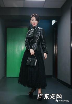 容祖儿演唱会 容祖儿资料