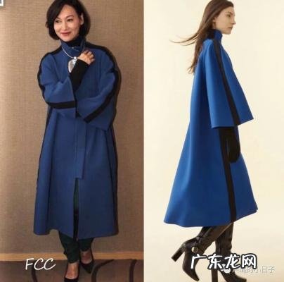 容祖儿演唱会 容祖儿资料