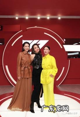 容祖儿演唱会 容祖儿资料