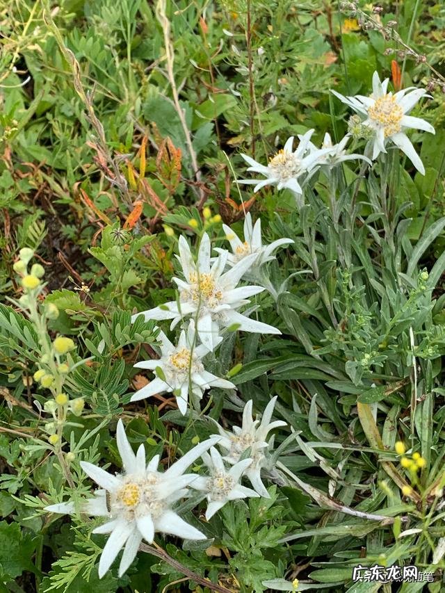 不会赚钱的男人没用? 男人赚不到钱,找一个比自己能赚钱的老婆,算不算是吃软饭?你怎么看?