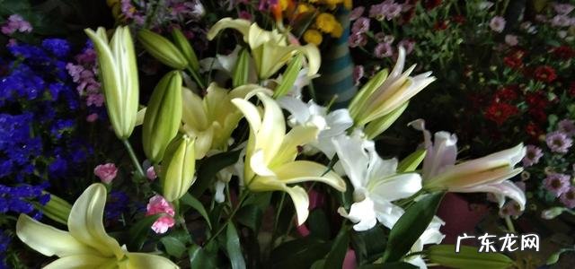 快手好物分享怎么赚钱？ 快手和头条哪个好挣钱？