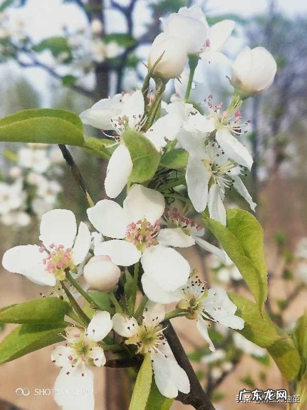 普通人什么工作工资高? 现在的社会,学什么手艺工资高?