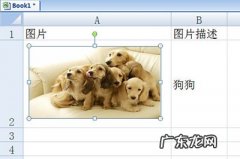 如何让图片随着excel表格变化 Excel图片随着单元格变化设置方法