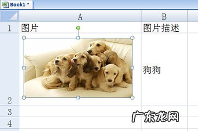 如何让图片随着excel表格变化 Excel图片随着单元格变化设置方法