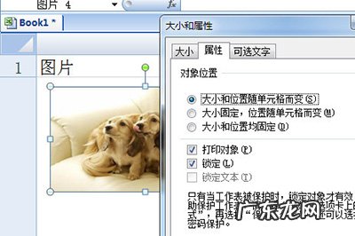 如何让图片随着excel表格变化 Excel图片随着单元格变化设置方法