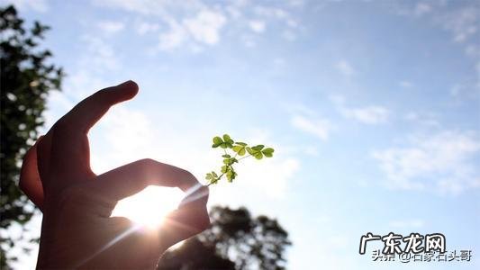 不想回家? 今年不打算出去了,就想在家创业,什么项目好?