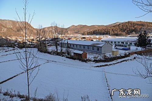 冬天到了,农村人都闲了,可以做些什么增加收入?