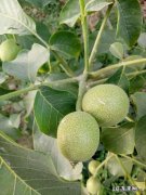 那么多广场舞大妈，有没有什么生意可以做？