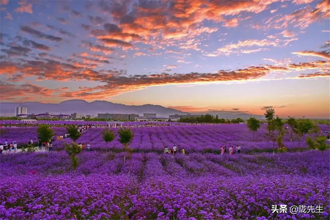 LADY呱呱夏河 lady呱呱夏河