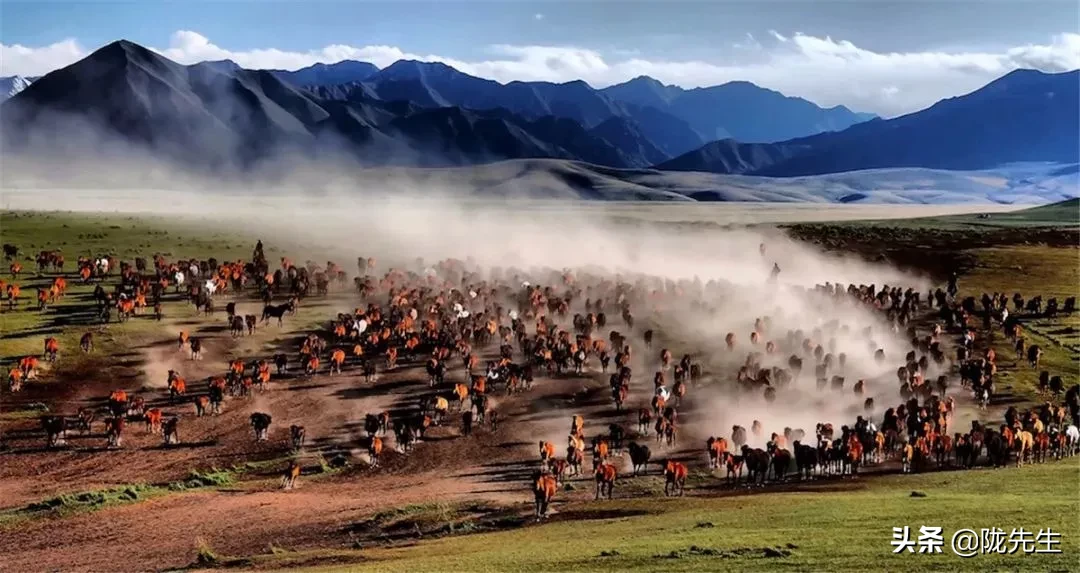 LADY呱呱夏河 lady呱呱夏河