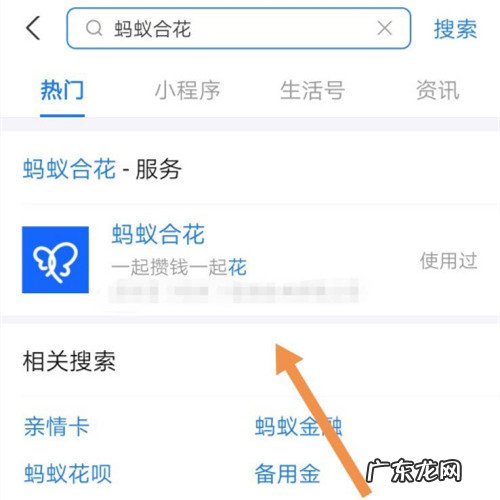 什么是支付宝蚂蚁合花？如何开通？