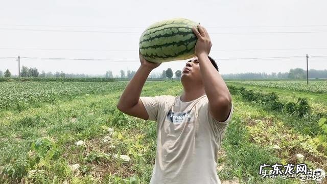 在农村带娃儿有啥挣钱的方法？ 在农村带娃怎么能赚到钱呢？