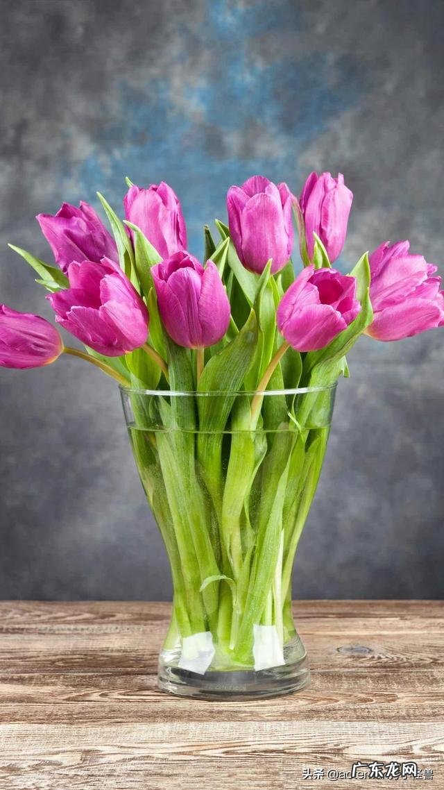 家庭主妇怎样提升自己? 本人40了,对于一个家庭主妇,没什么技术,该学点什么好?