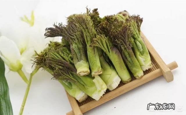 大棚种什么省事又赚钱？ 东北大棚种点什么能赚钱？