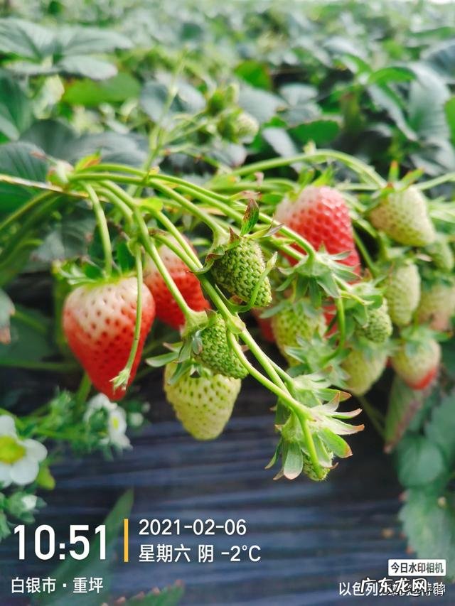 乡下做什么比较赚钱? 现在农村干什么挣钱?