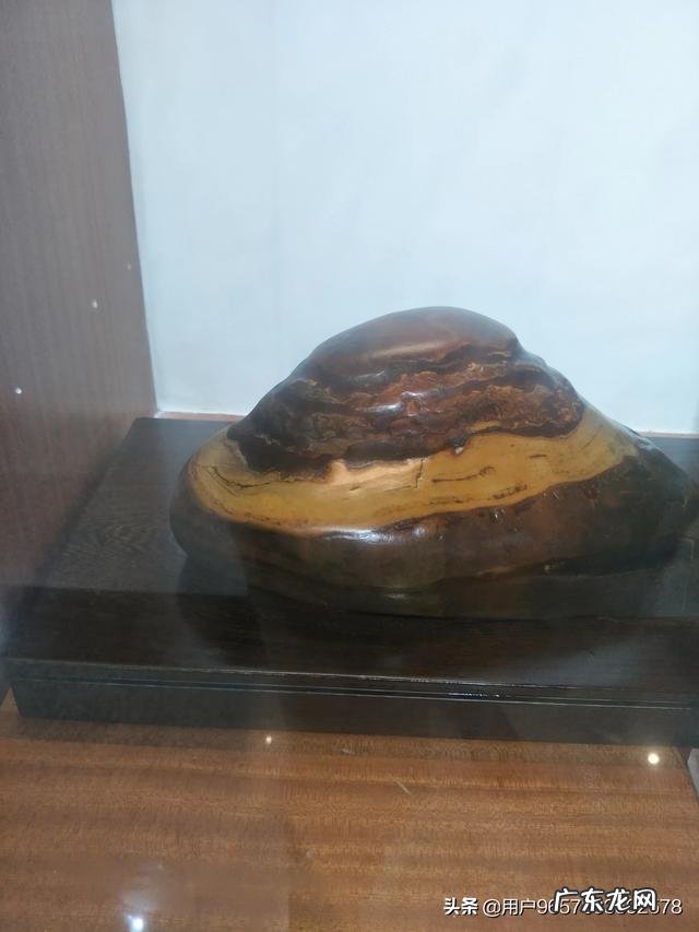 2020年投资什么项目好? 2020年在南宁投资什么好赚钱?