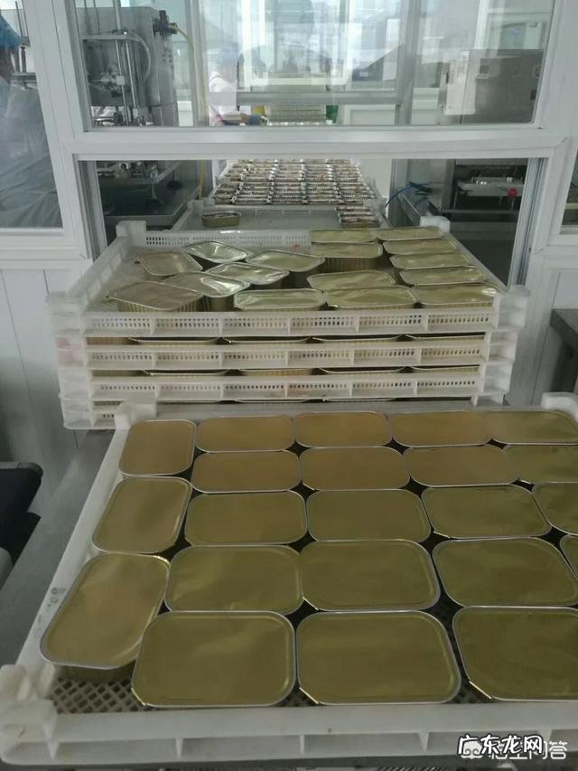 创业项目推荐？ 2019年有哪些小型的创业项目可以推荐？