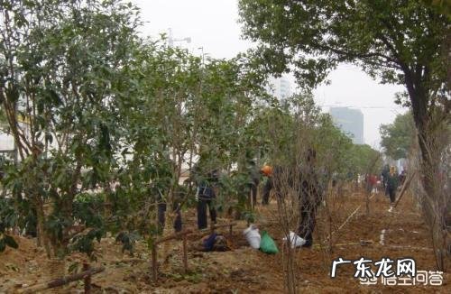 六十岁做什么工作好？ 四十六岁做什么生意好？