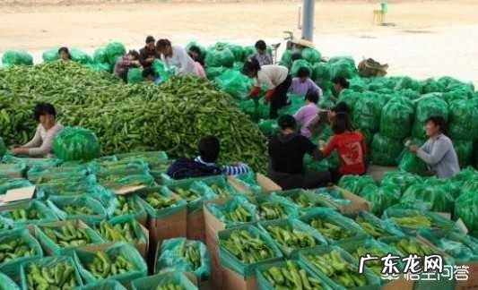 六十岁做什么工作好？ 四十六岁做什么生意好？