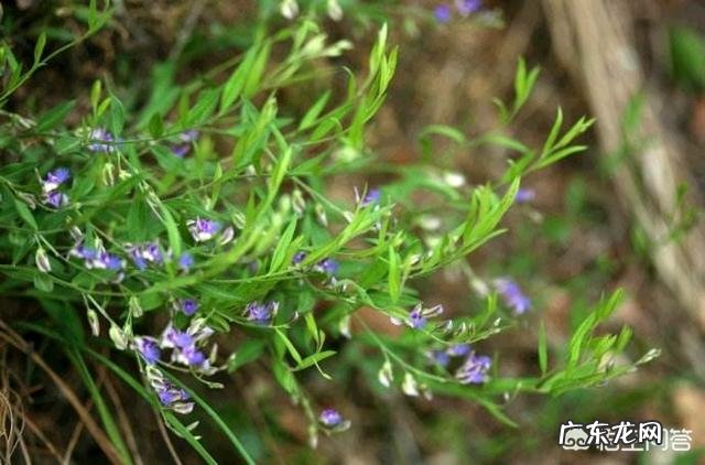 一到三万元的小本生意? 现在有一百万,可以做什么生意?