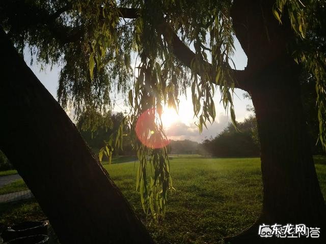 女生稳定的工作有哪些？ 女孩子做什么工作比较稳定？