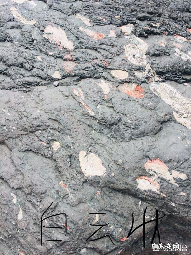 边旅游边赚钱的项目是什么? 请问边旅游边赚钱的工作有吗?